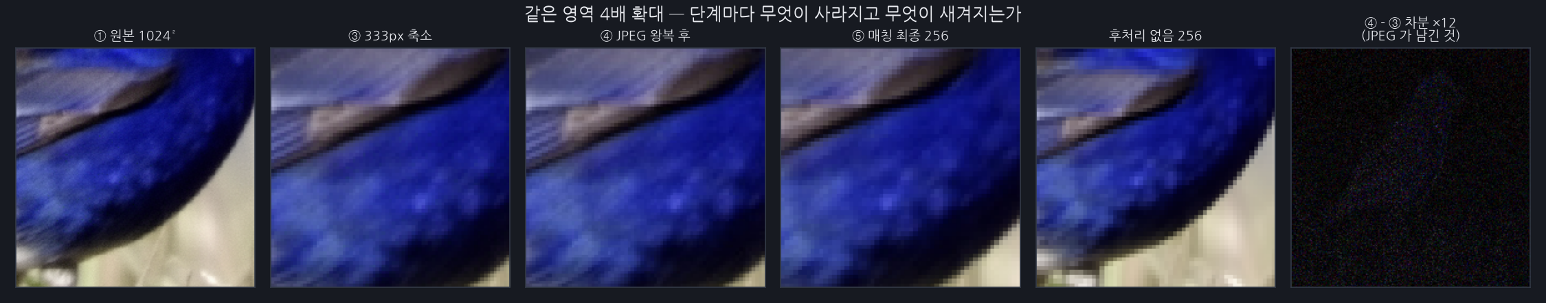 왼쪽부터: ① 1024 원본에는 깃털 반점 같은 미세 질감이 살아 있습니다. ③ 333px 로 줄이면 그 반점이 뭉개집니다. ④ JPEG 왕복을 거치면 블록 경계와 링잉이 새로 새겨집니다(맨 오른쪽 차분 지도의 격자 무늬가 그것). ⑤ 매칭 최종과 후처리 없음 256 을 비교하면 매칭 쪽이 더 물렁합니다.
