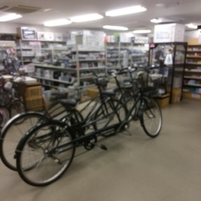 bicycle-built-for-two