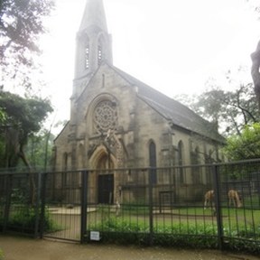 church