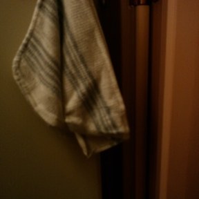 dishrag