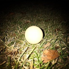 ping-pong ball