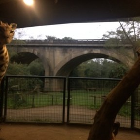 viaduct
