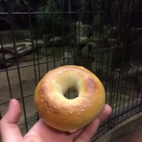 bagel