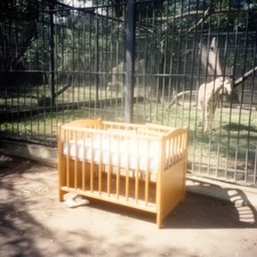 cradle