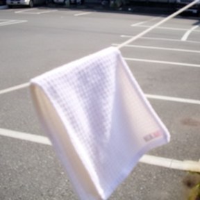 dishrag