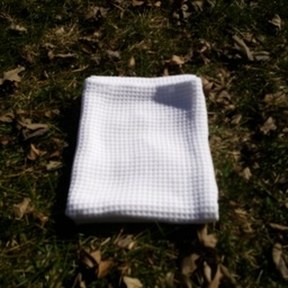dishrag