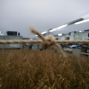 knot