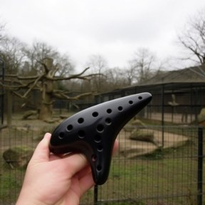 ocarina