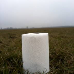 paper towel