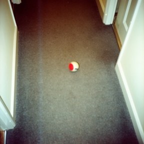 ping-pong ball