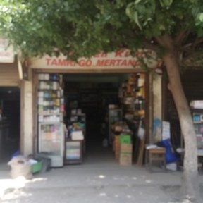 tobacco shop
