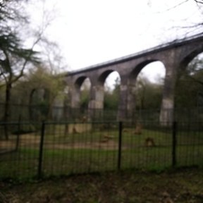 viaduct