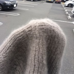 wool