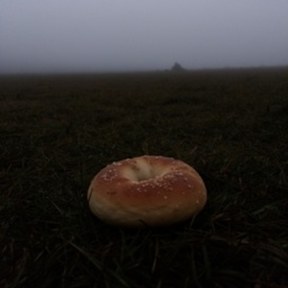 bagel