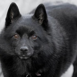real