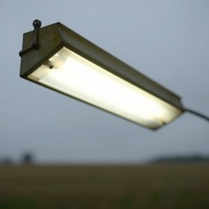 zimage_v3