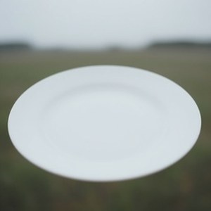 zimage_v3