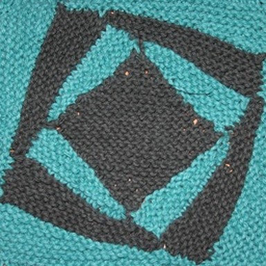real dishrag