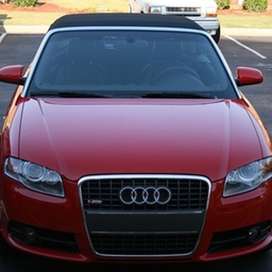 real grille