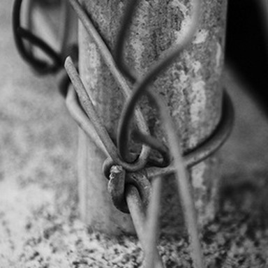 real knot