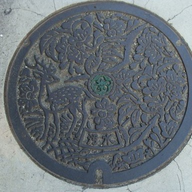 real manhole cover