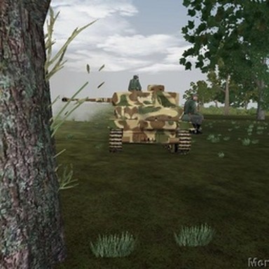real tank