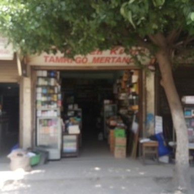 synth tobacco shop