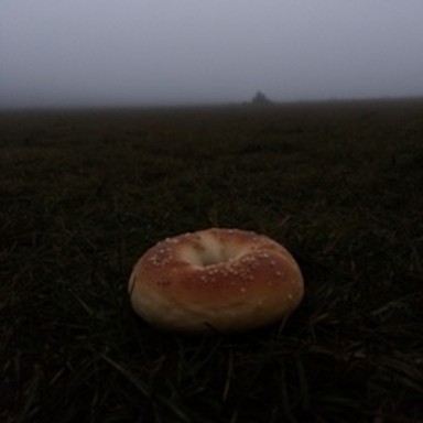 synth bagel